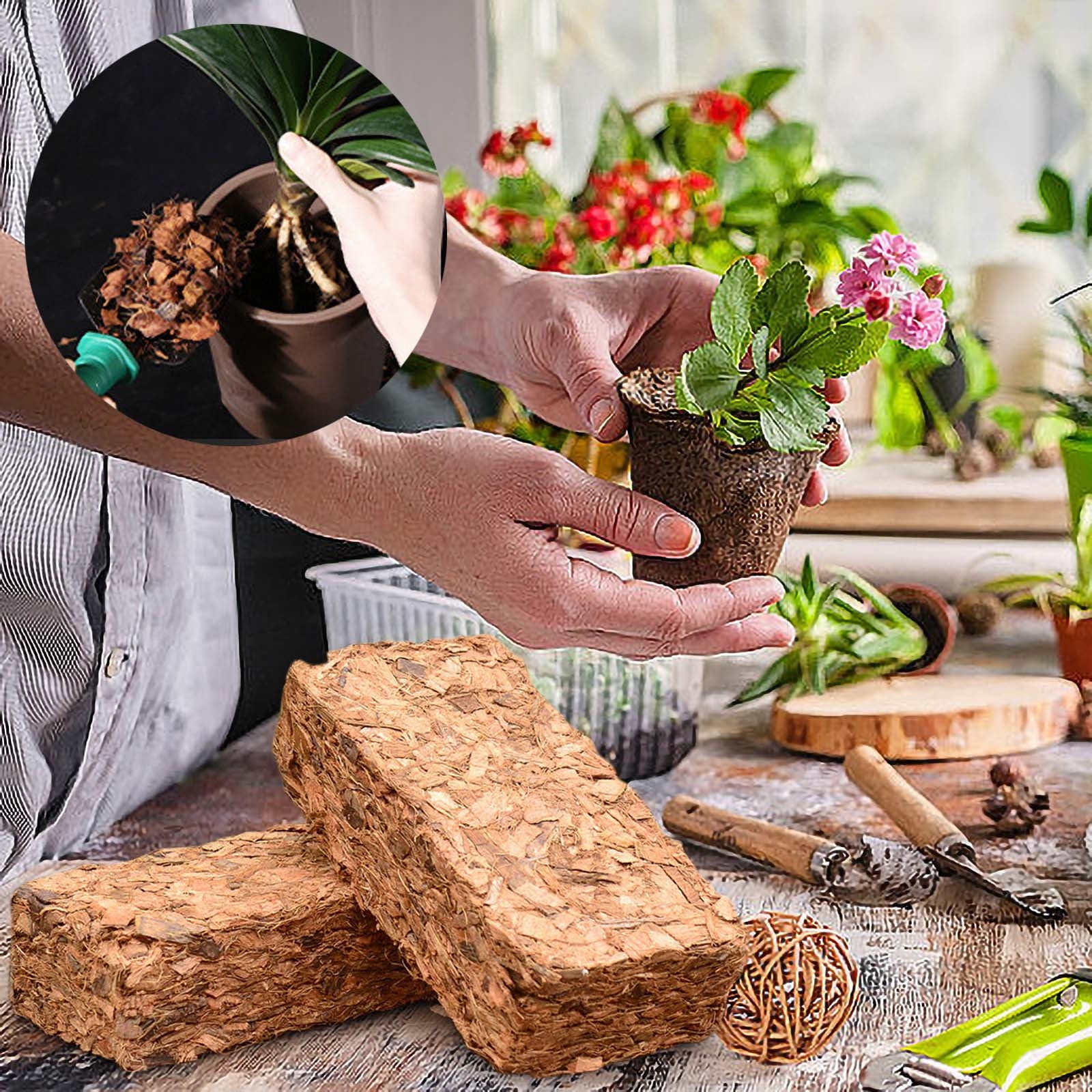Coir Briquettes